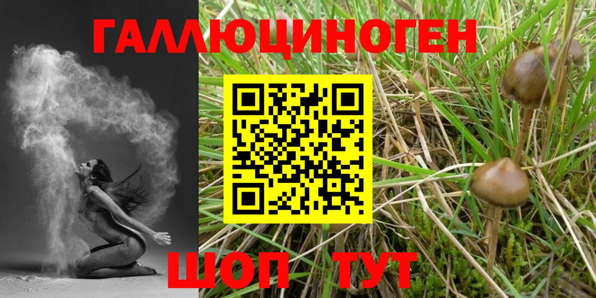 Галлюциногенные грибы Cubensis Муром